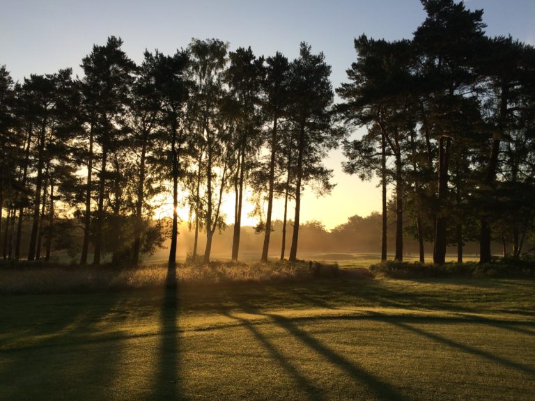 Sunrise through pine trees casting long shadows across a mown golf course fairway