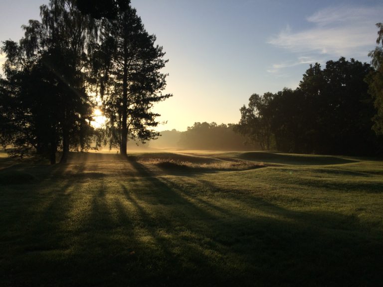 Sunrise through tall trees casting long shadows across a mown golf course