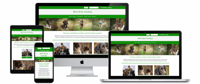 Mere Brow Gundogs